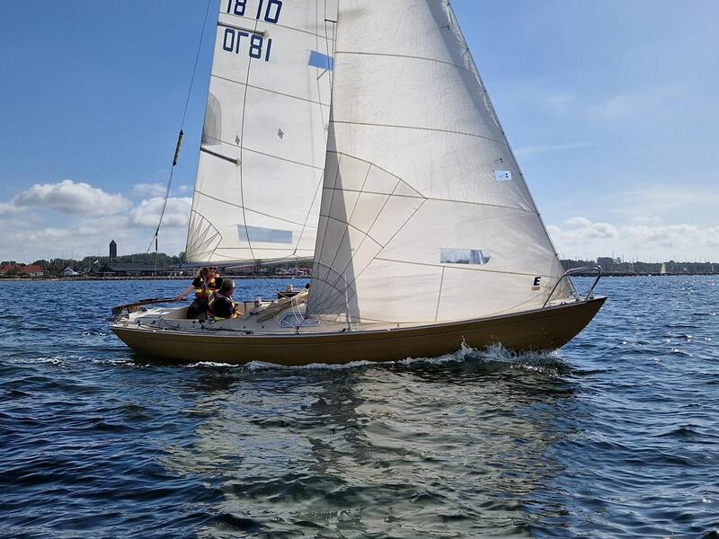 366940887 314359557619907 8939978510236480070 n