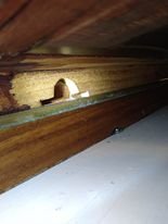 Pentry baksida undre skena.jpg