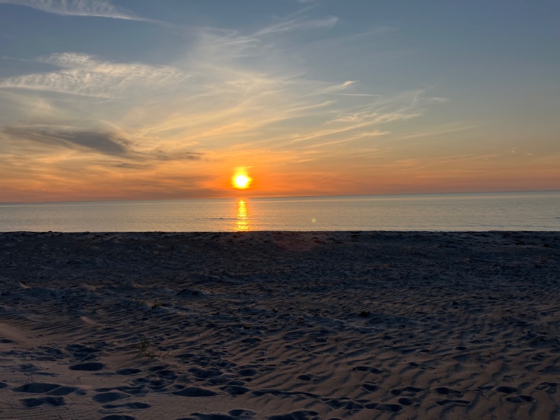 IMG_2286.jpeg