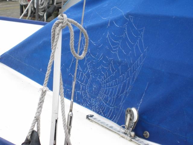 IMG_3376 (3) (640x480).jpg