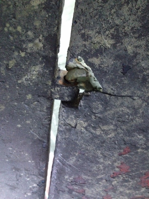 skadat roder (3) (300x400).jpg